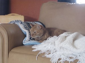 A Little Well-Deserved R&R